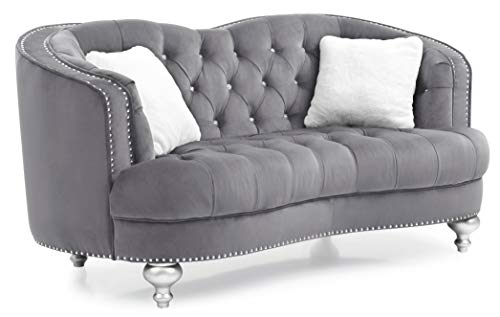 Gray Velvet Loveseat N9657