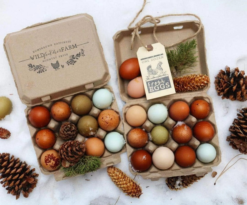 Blank Egg Cartons 75-Pack 3x4 Holds 12 Large Eggs Recycled Cardboard P4315