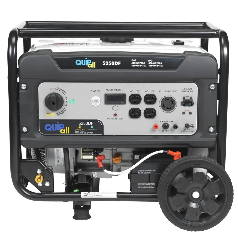 Portable Dual Fuel Gas Generator with Electric Start B385