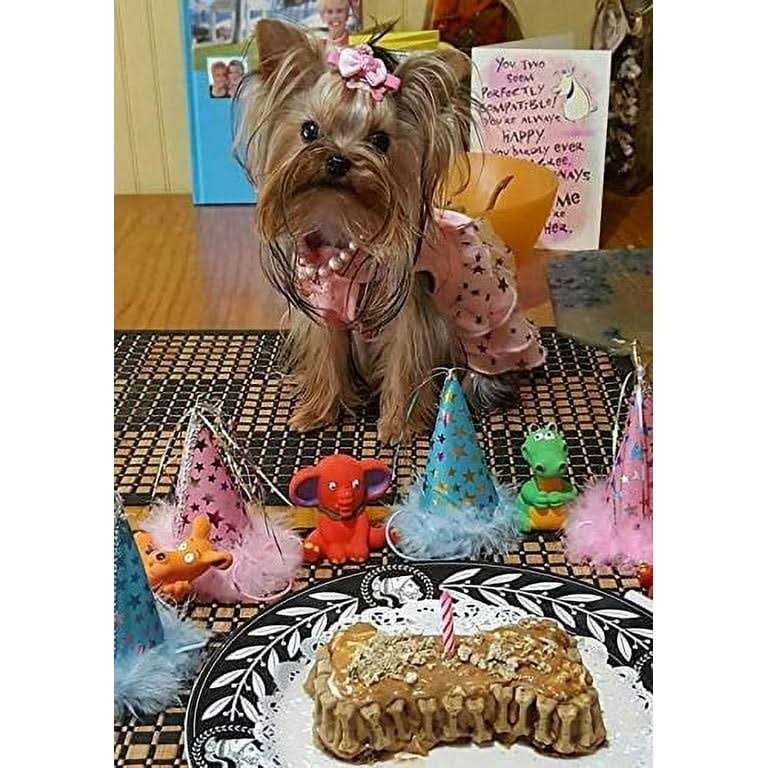 Birthday Cake Kit For Dogs Z2808