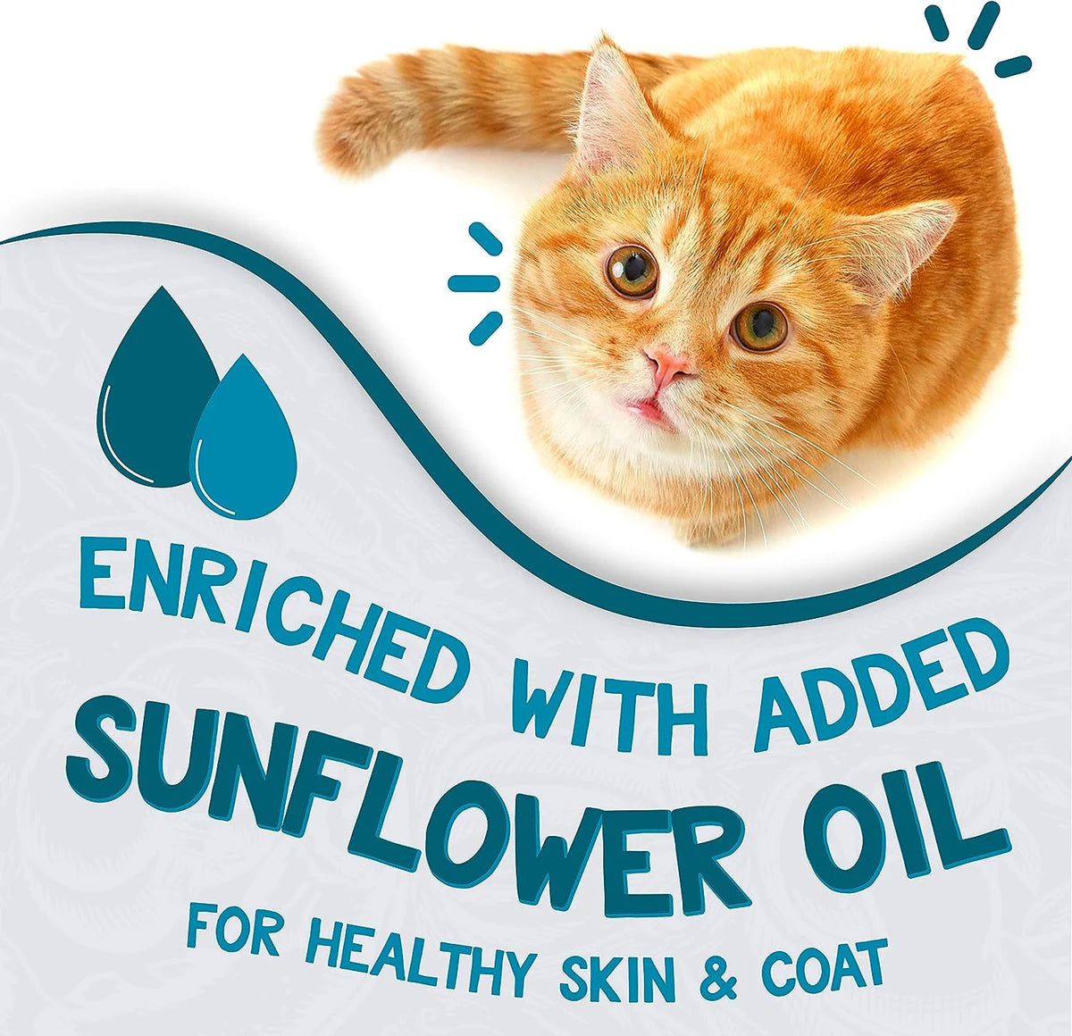 Grain-Free Moist Cat Food 5.5 oz. 24-Pack Box F66945