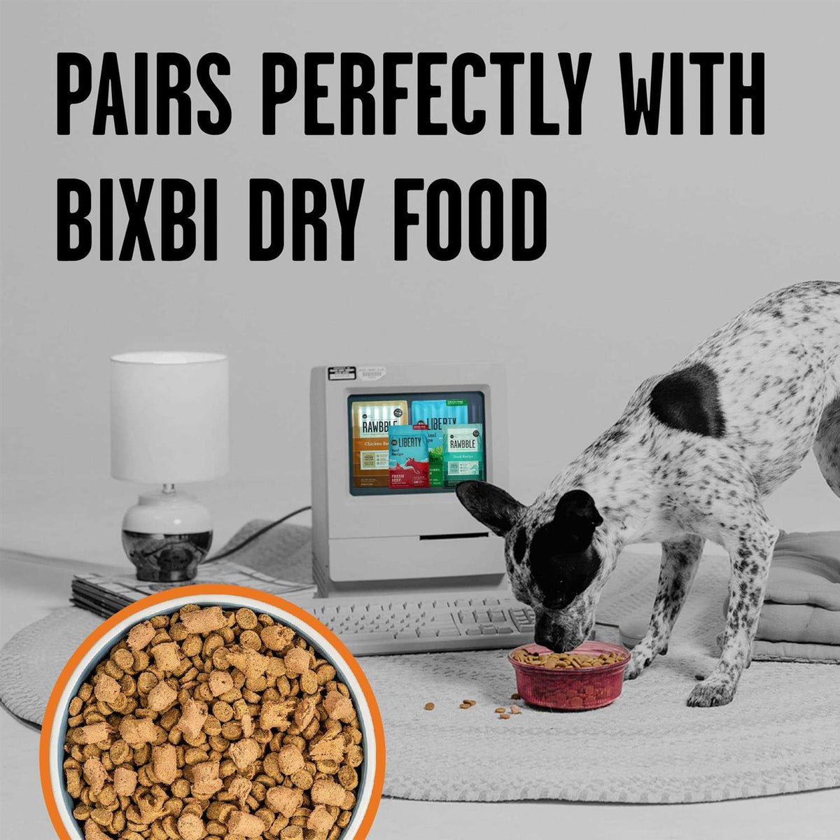 Chicken Freeze-Dried Dog Food Y7020