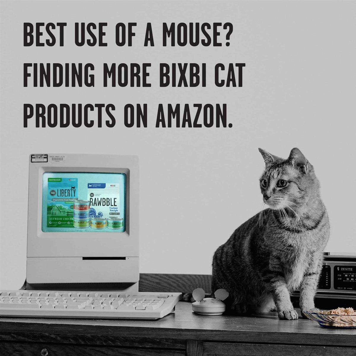 Freeze Dried Cat Food B319461