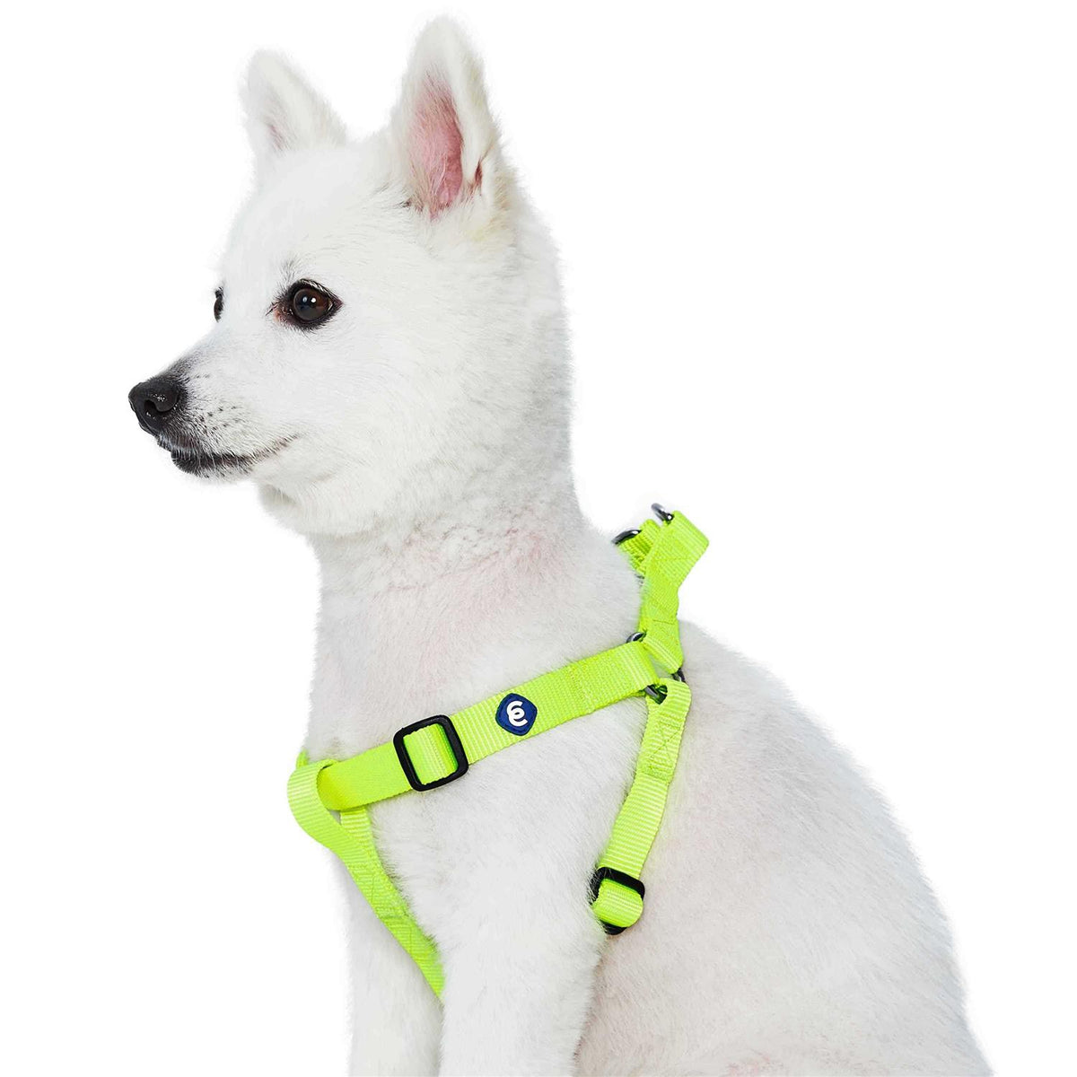 Solid Nylon Step-In Dog Harness E78092