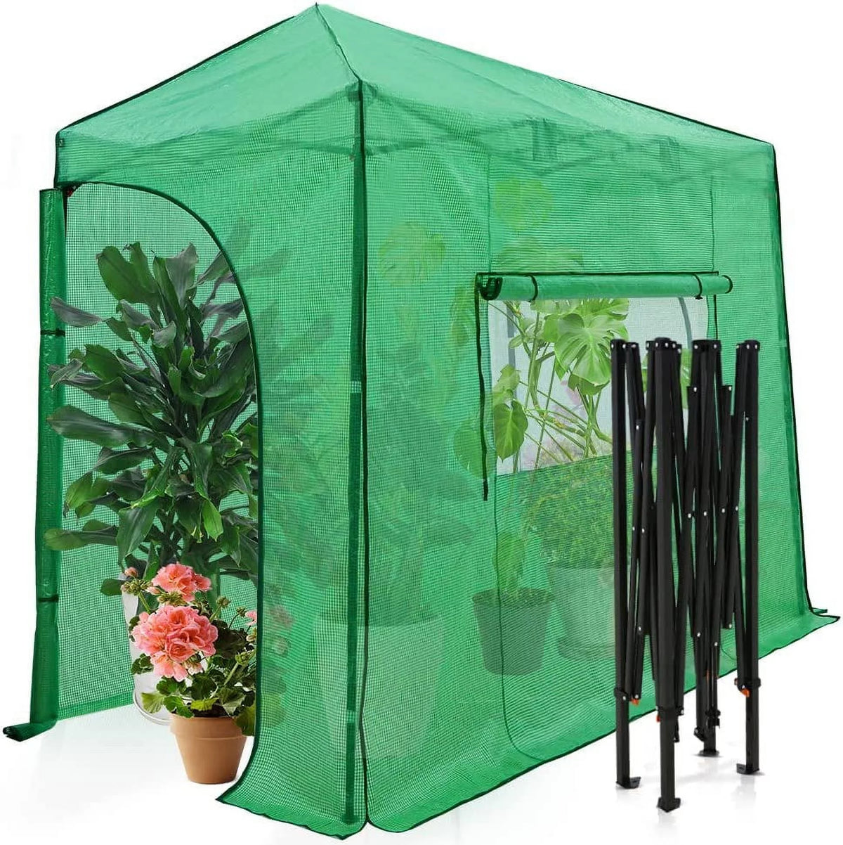 10'x 5' Portable Pop-up Greenhouse N888