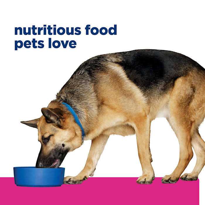 Chicken & Vegetable Stew Wet Dog Food A2579