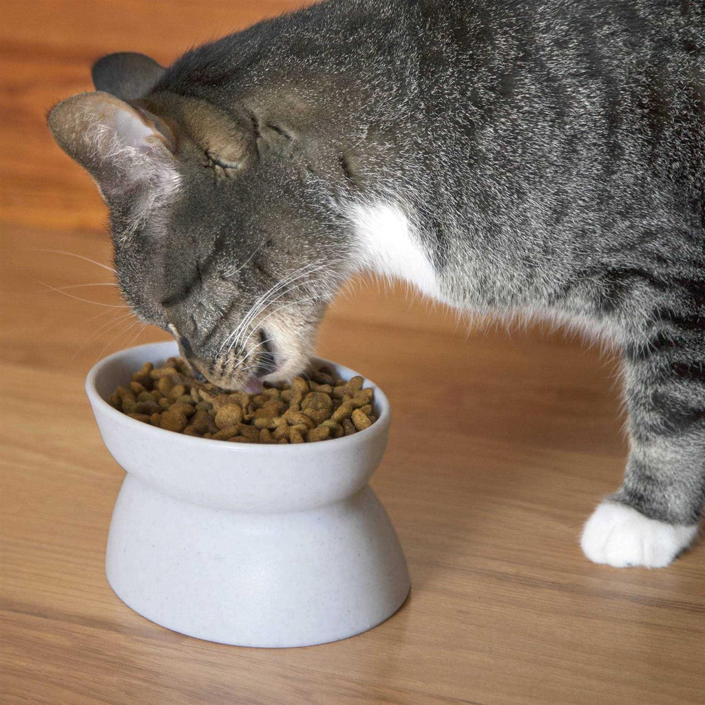 Raised Cat Food Bowl and Waterer E444