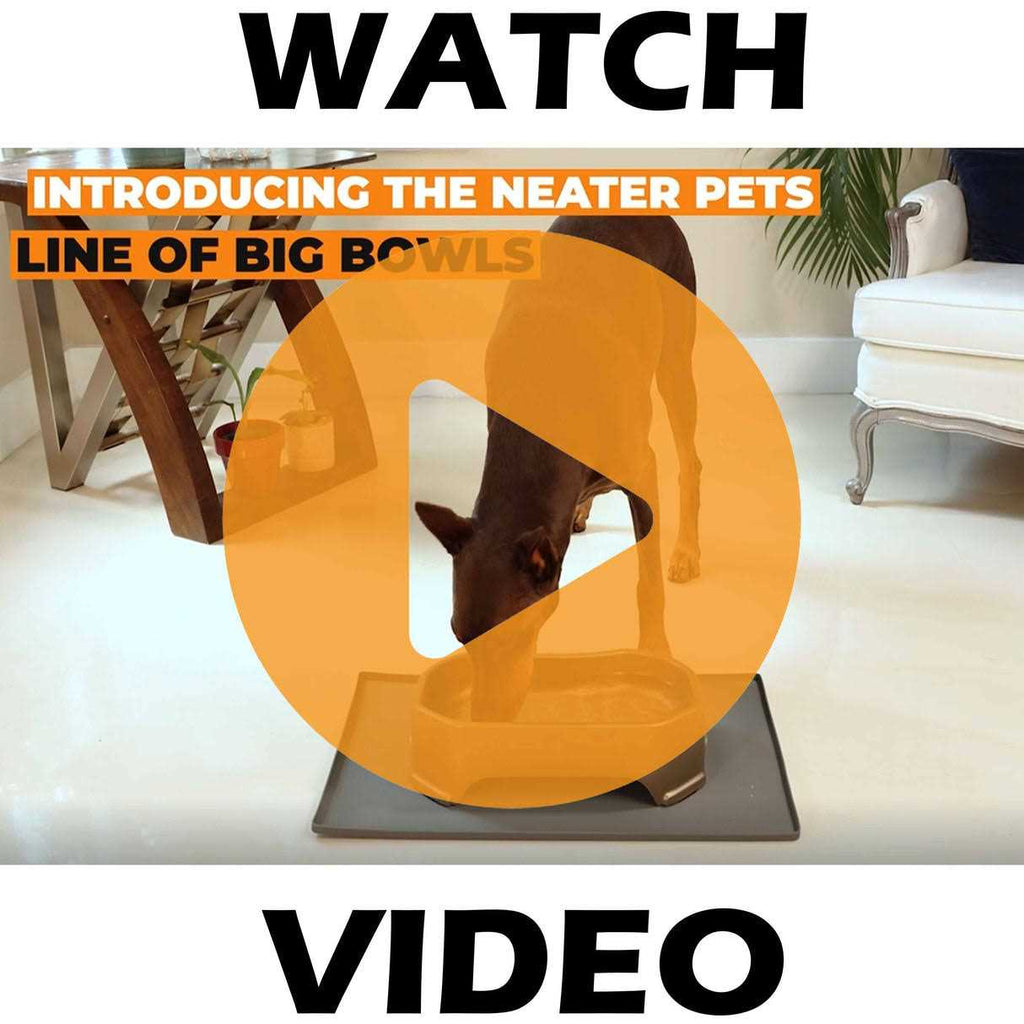 Jumbo Trough Style Dog Water Bowl M786400