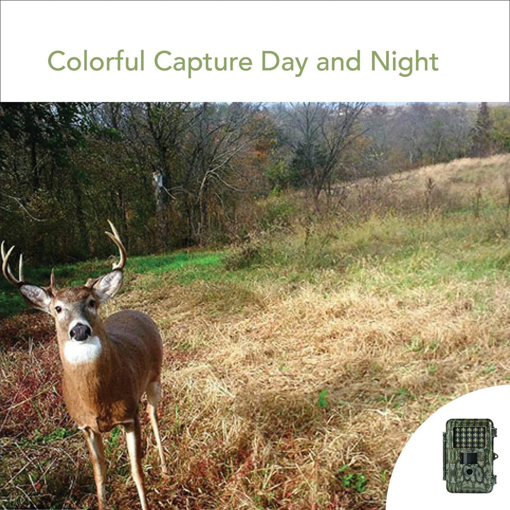 18MP 1080P Trail Camera with 2” LCD White LED Flash N697235