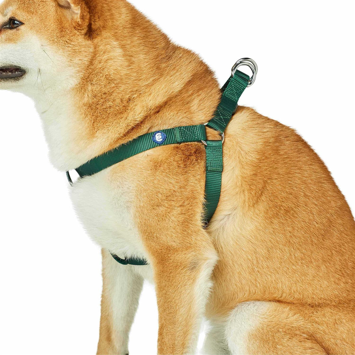 Solid Nylon Step-In Dog Harness E78092