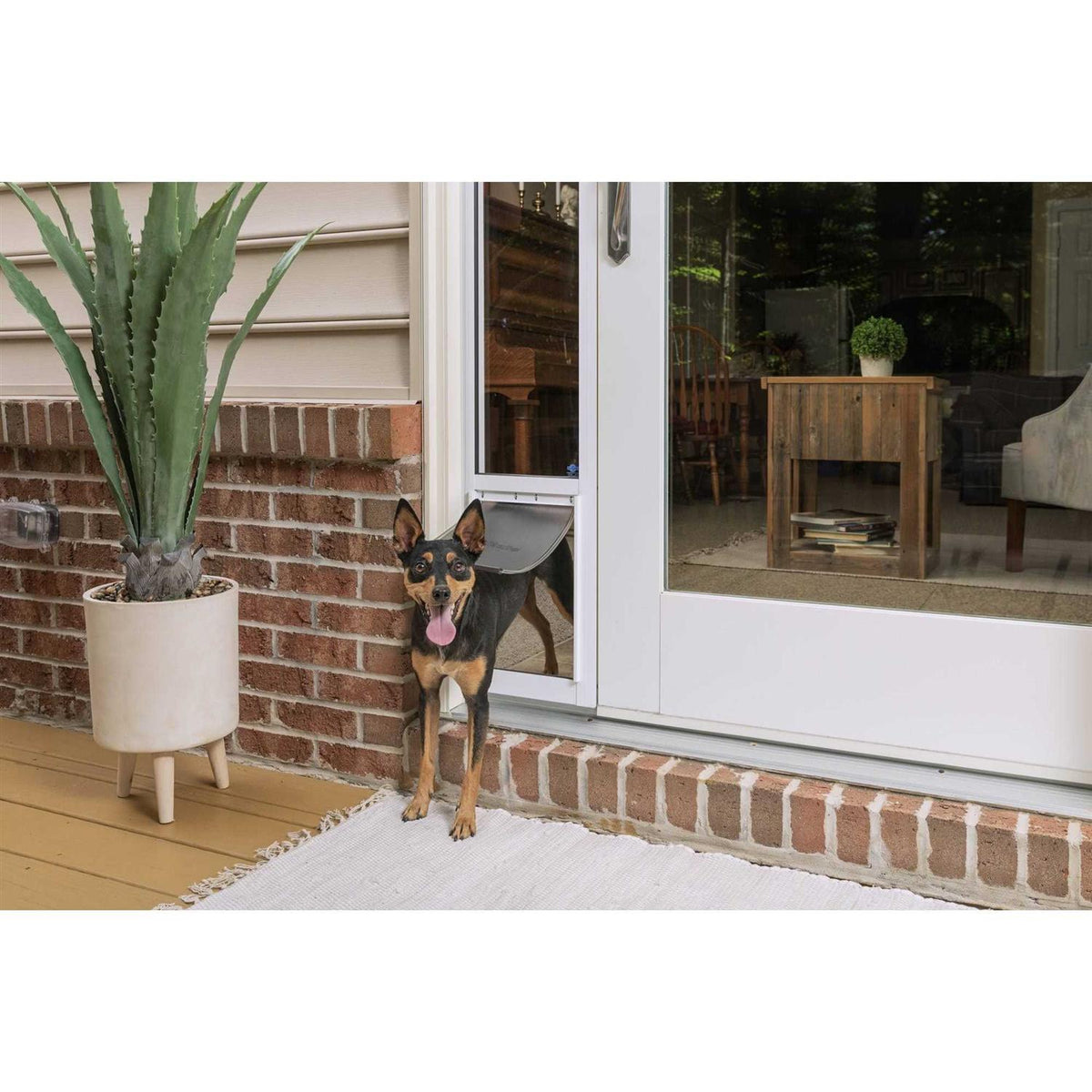 Sliding Glass Pet Door T9152