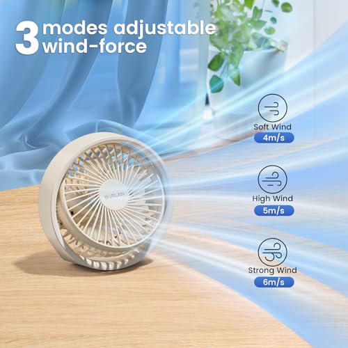 10 inch Portable Rechargeable Desk Fan C32800