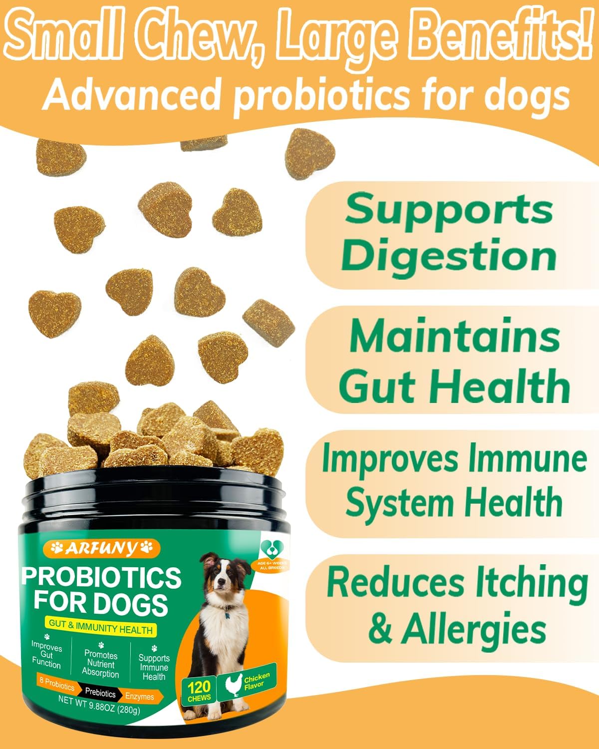 Chicken Flavor Probiotics Chews for Dogs with Prebiotic & Digestive Enzymes (120 Chews) N65556