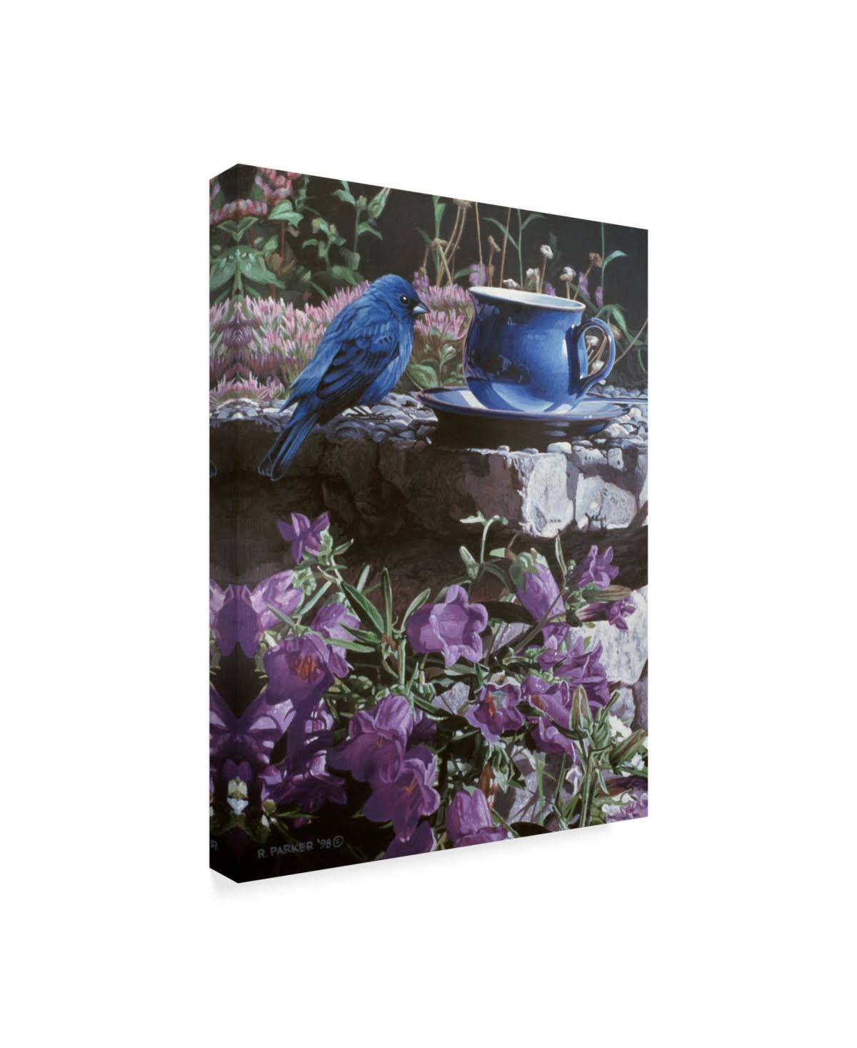 Canvas O50058