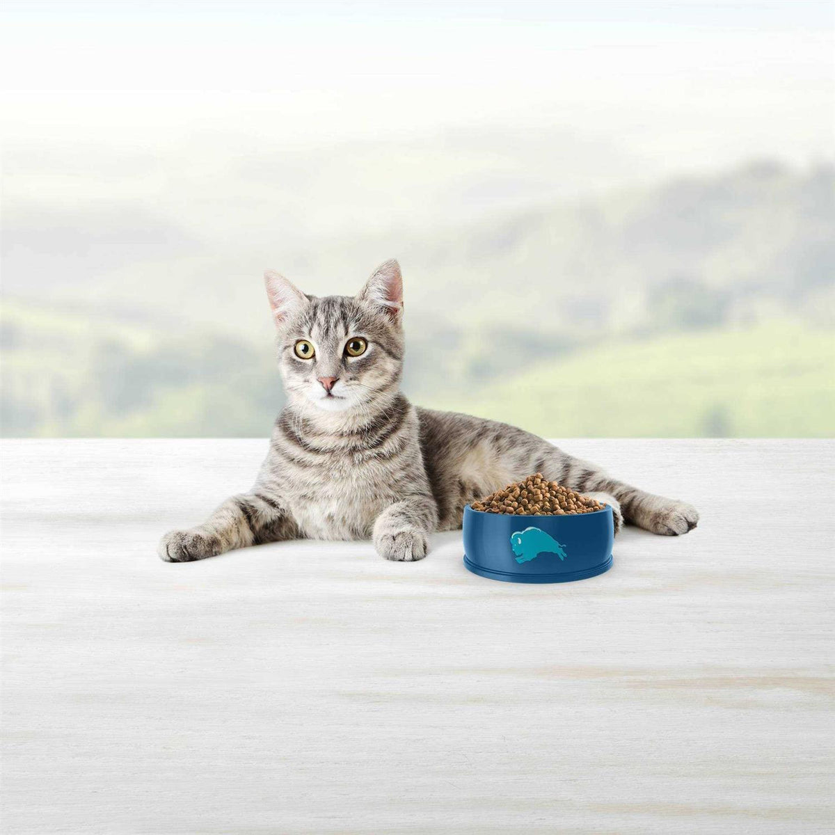 Blue Weight Control Adult Cat Dry Food C342