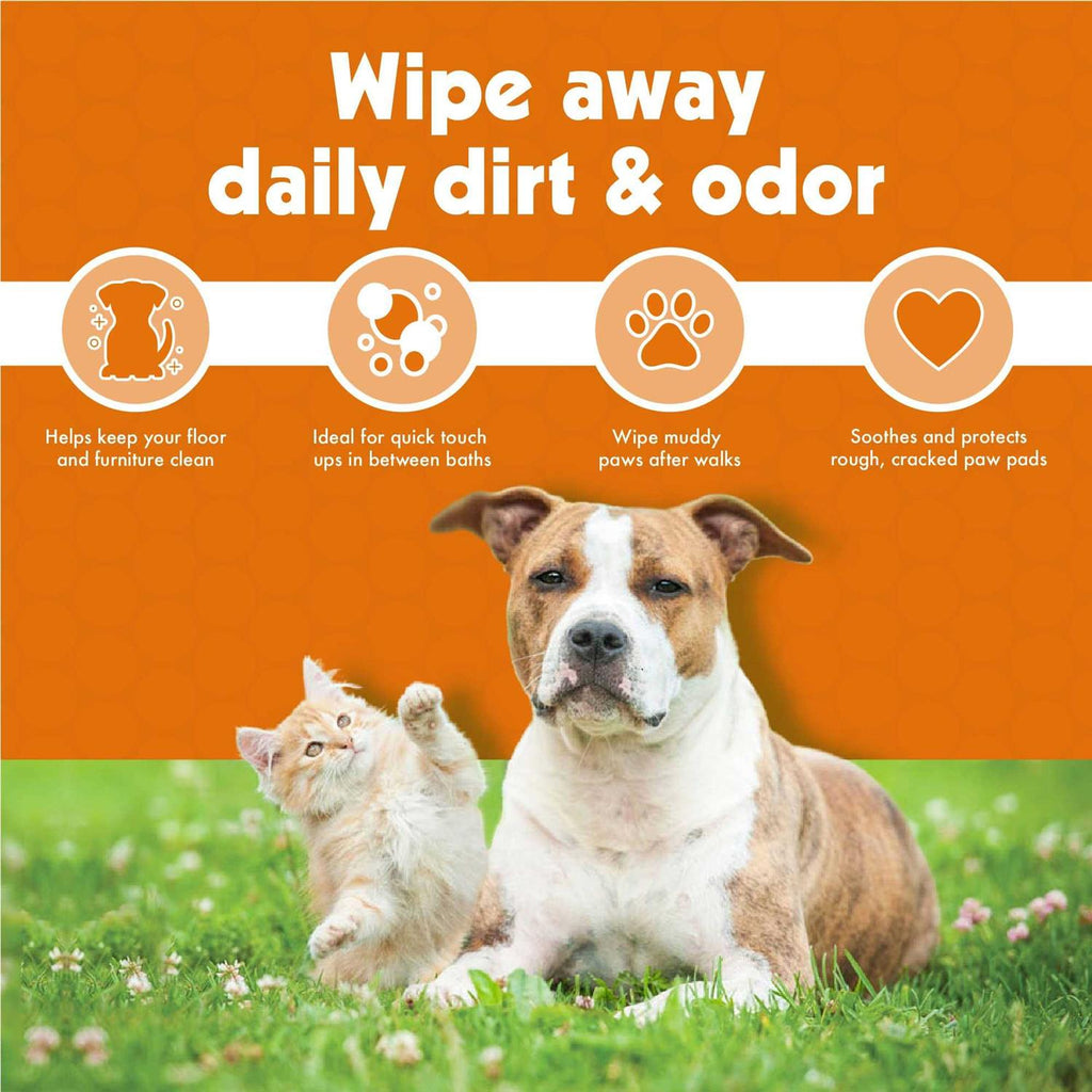 Pet Wipes L3383