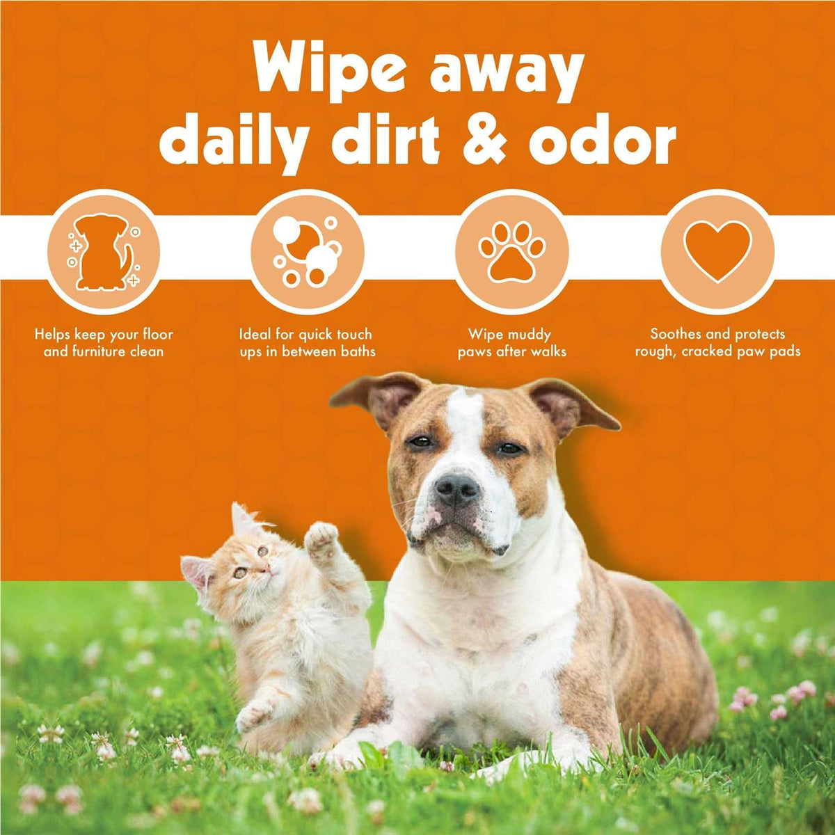 Pet Wipes L3383
