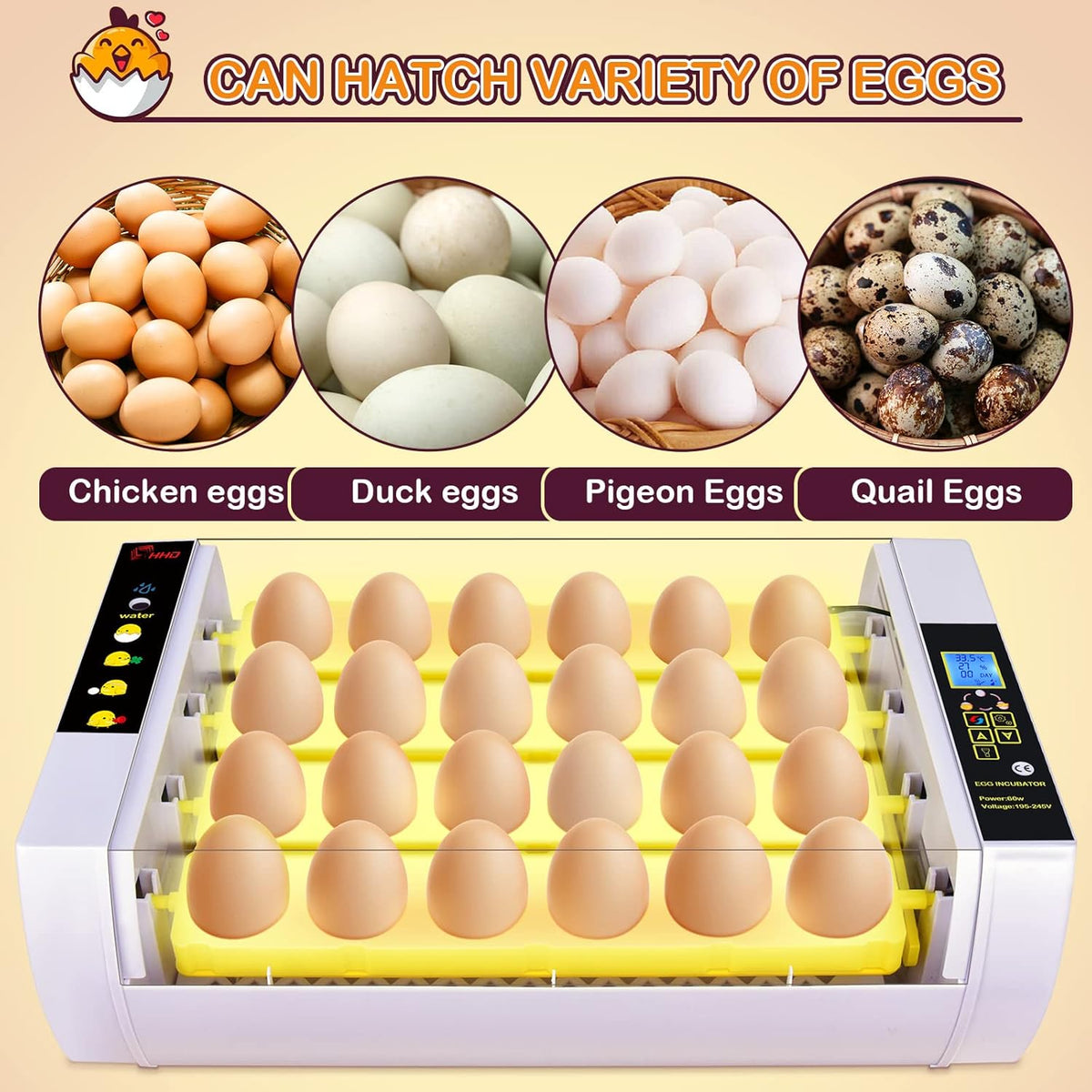 24 Eggs Incubator with Automatic Turning Temperature and Humidity Control Pack of 2 G147540
