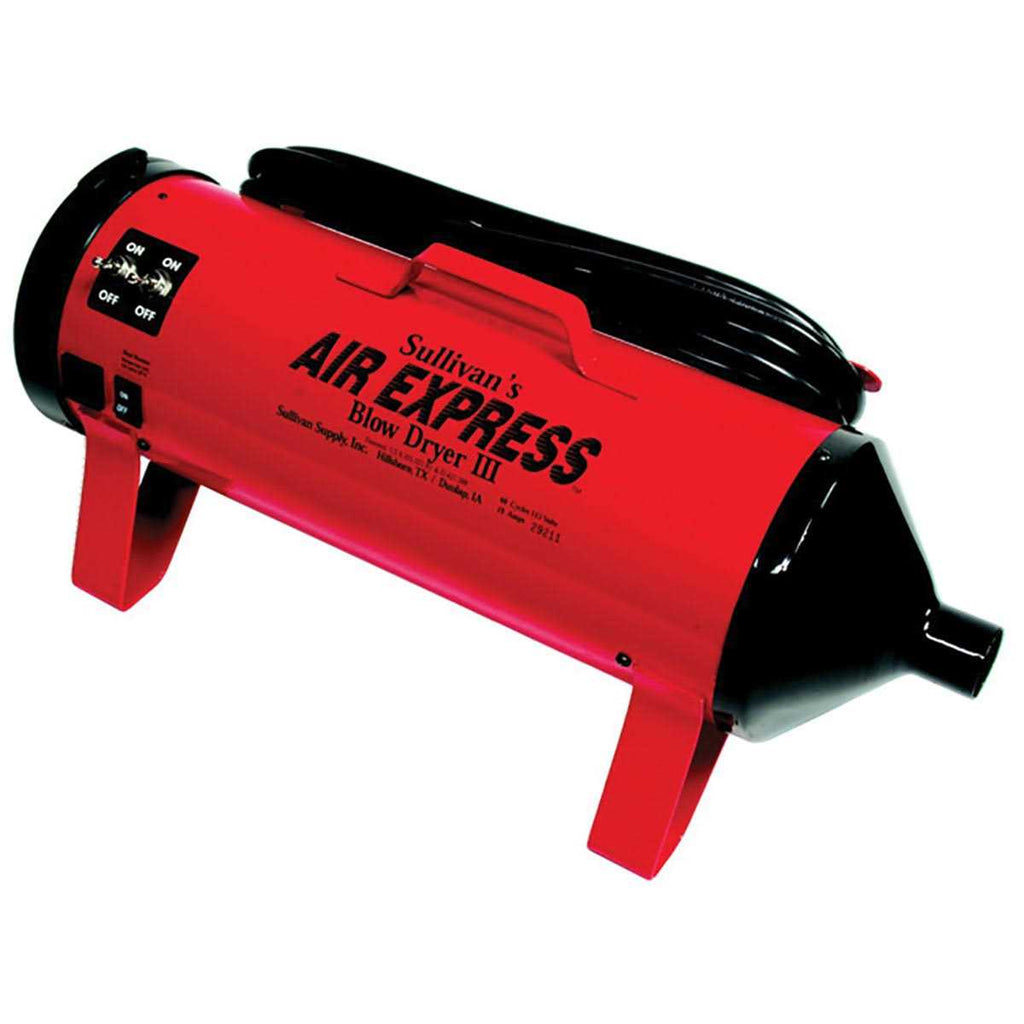 Blow Dryer E1037
