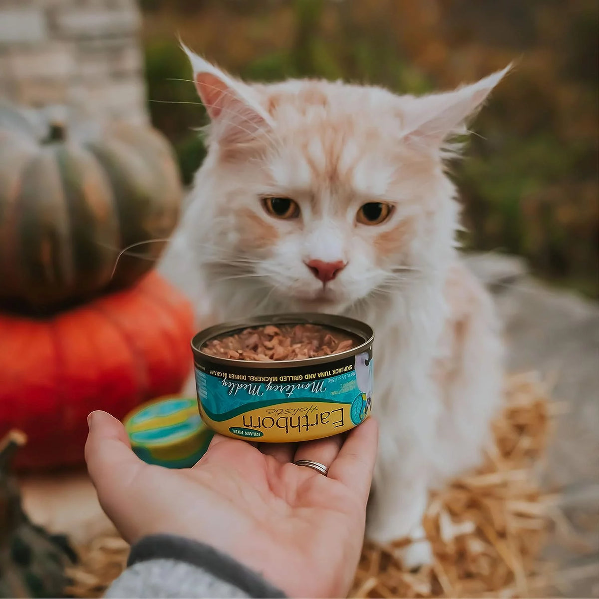 Grain-Free Moist Cat Food 5.5 oz. 24-Pack Box F66945