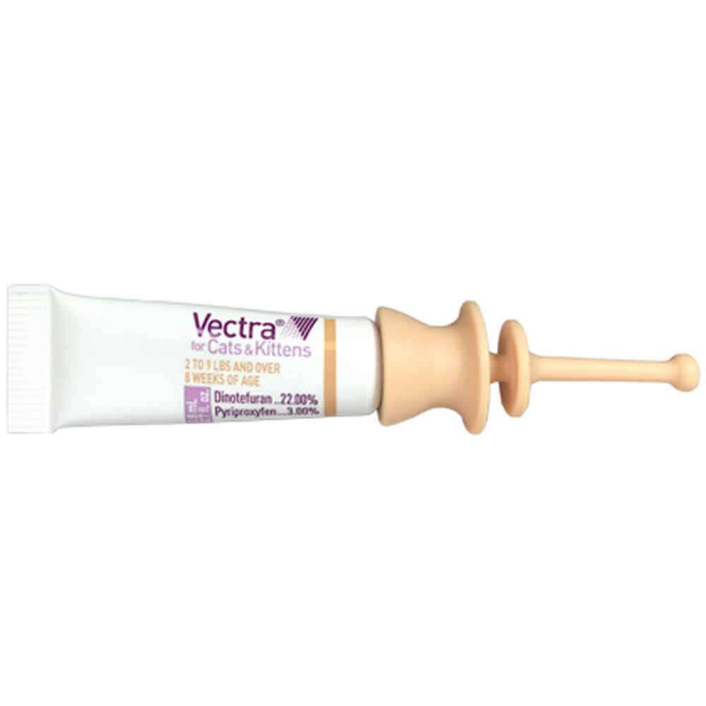 For Cats over 9 lbs Y5064