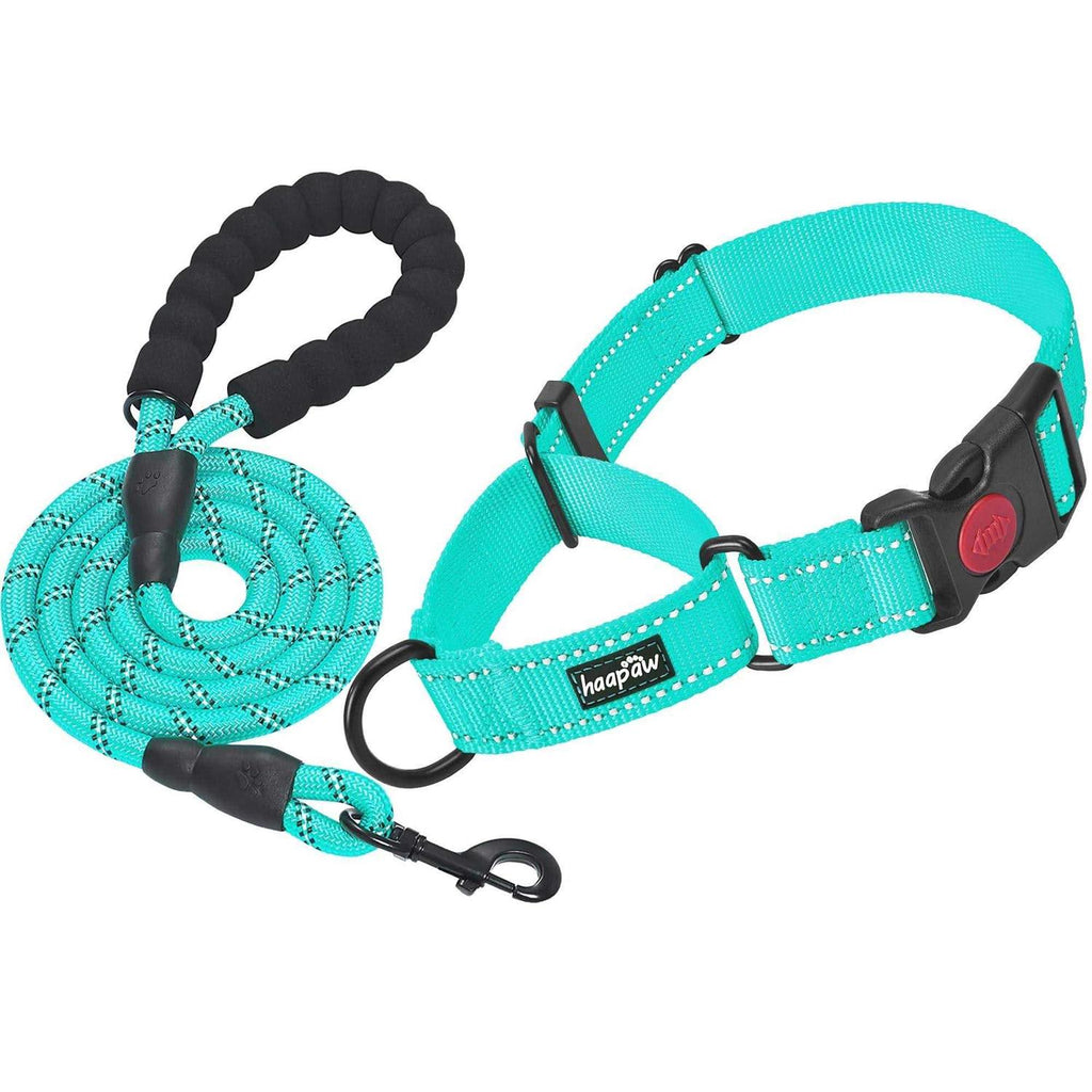 2 Packs Martingale Dog Collar with Quick Release Buckle Reflective H721008