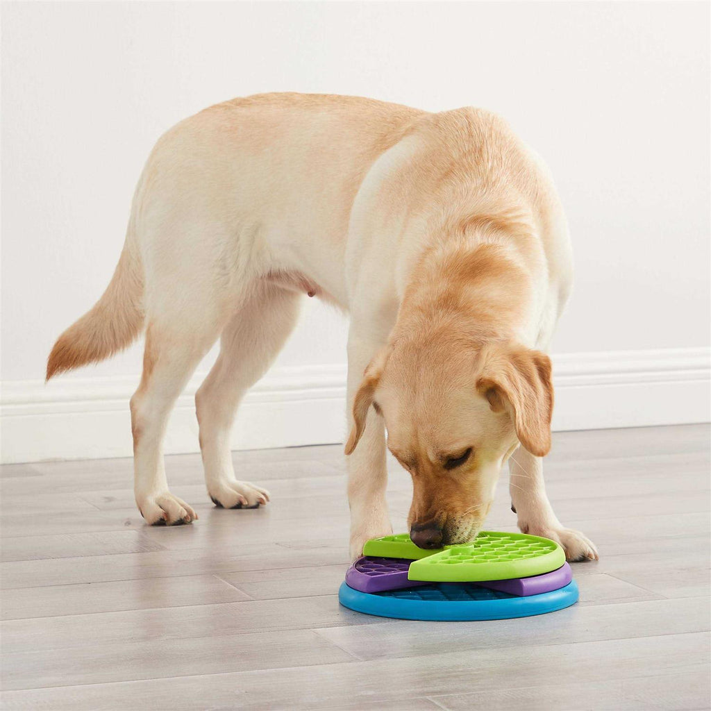 Dog Puzzle Game Y750667