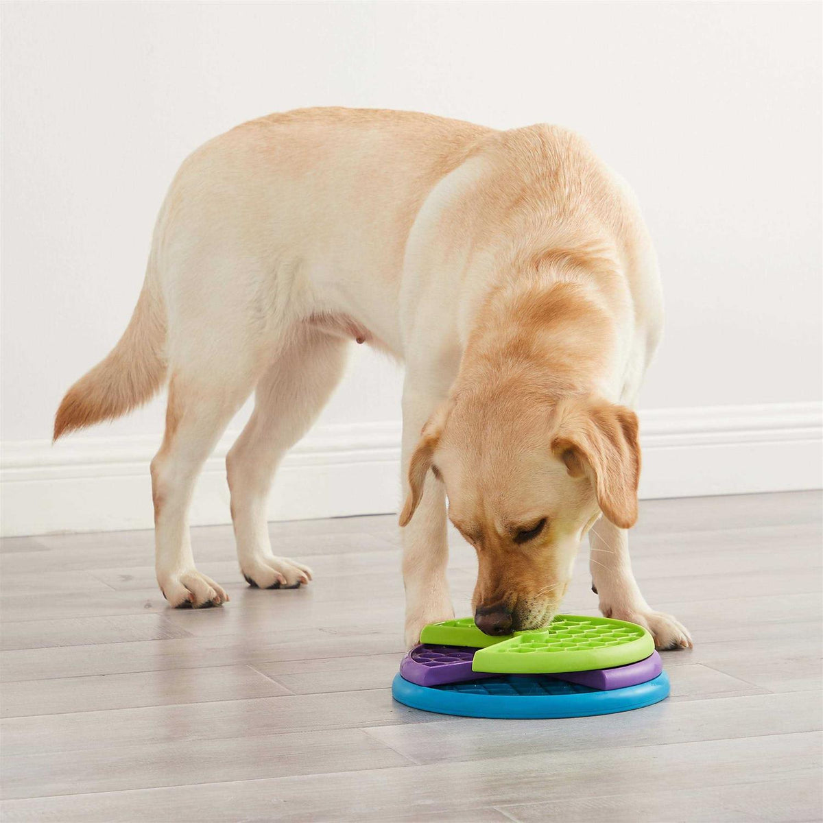 Dog Puzzle Game Y750667