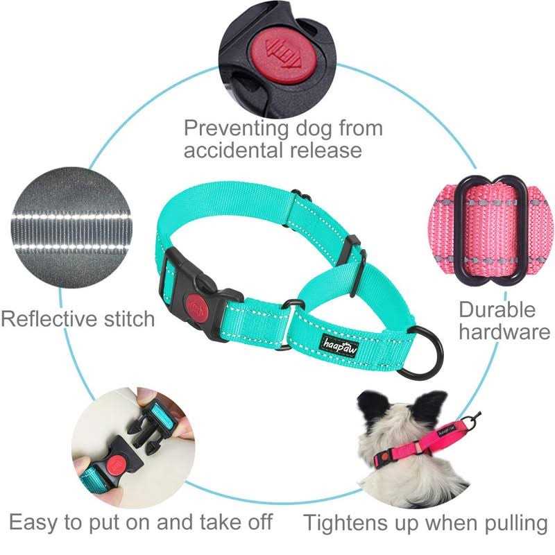 2 Packs Martingale Dog Collar with Quick Release Buckle Reflective H721008