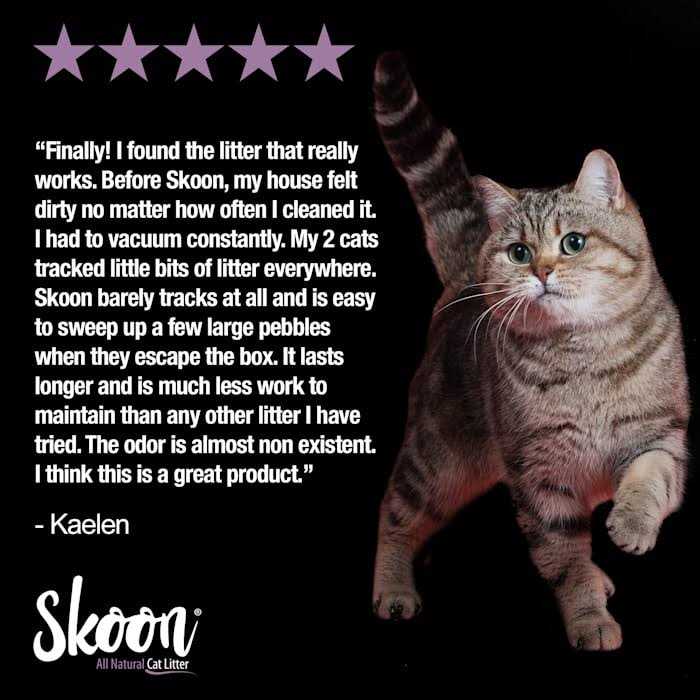 All-Natural Light-Weight Non-Clumping Cat Litter Z815