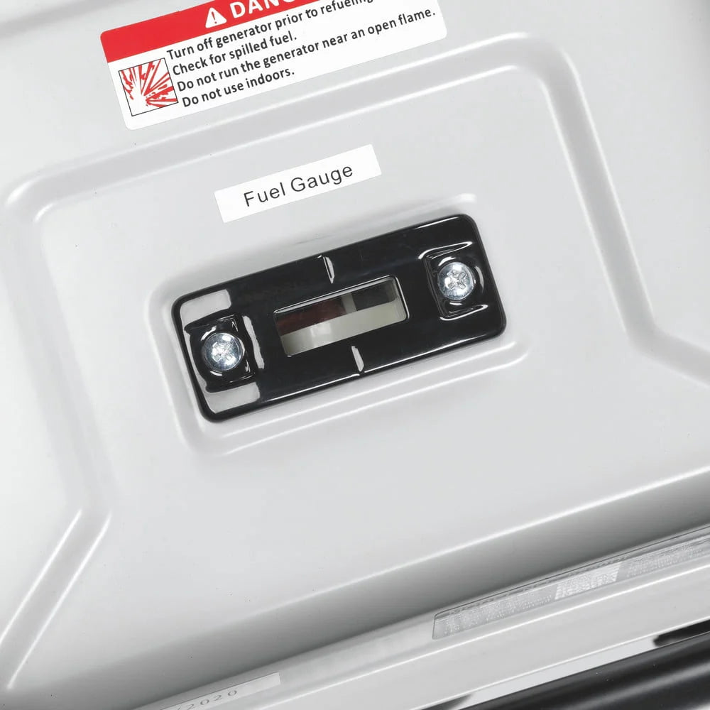 Portable Dual Fuel Gas Generator with Electric Start B385