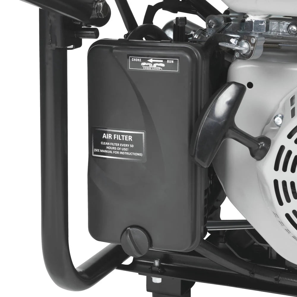 Portable Dual Fuel Gas Generator with Electric Start B385