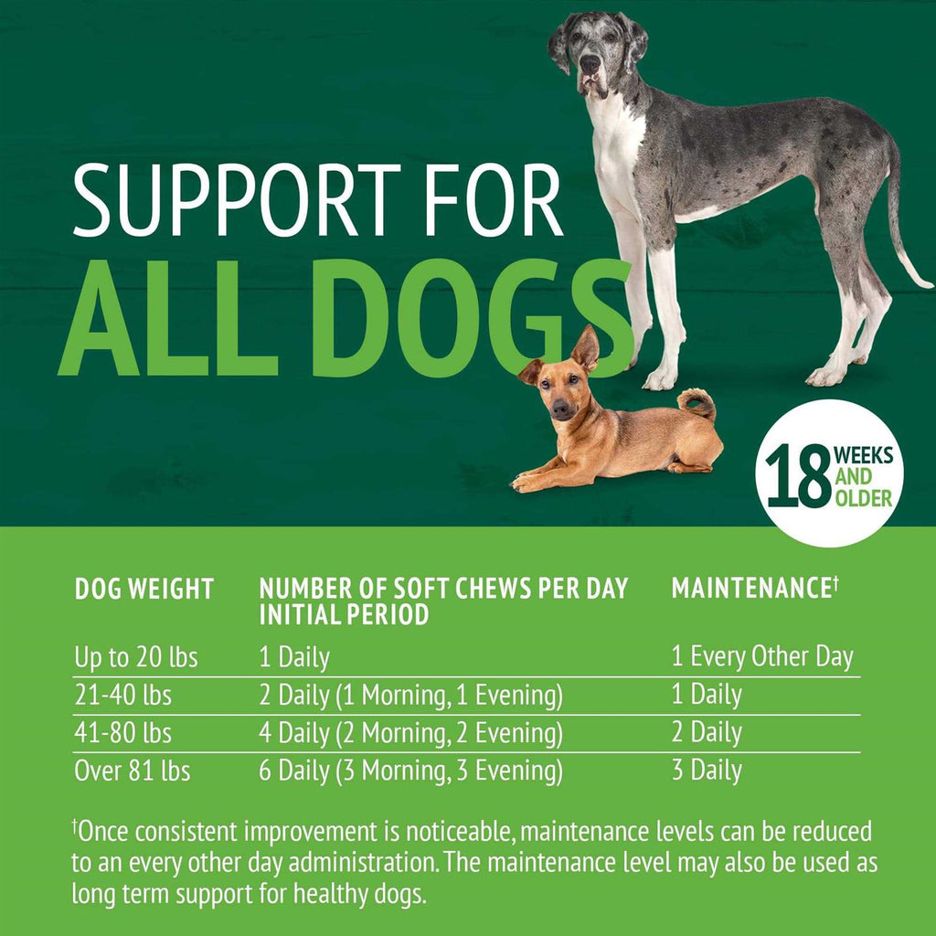 Hip and Joint Soft Chews for Dogs H406118