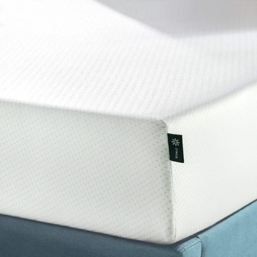 Queen Memory Foam Mattress O79817