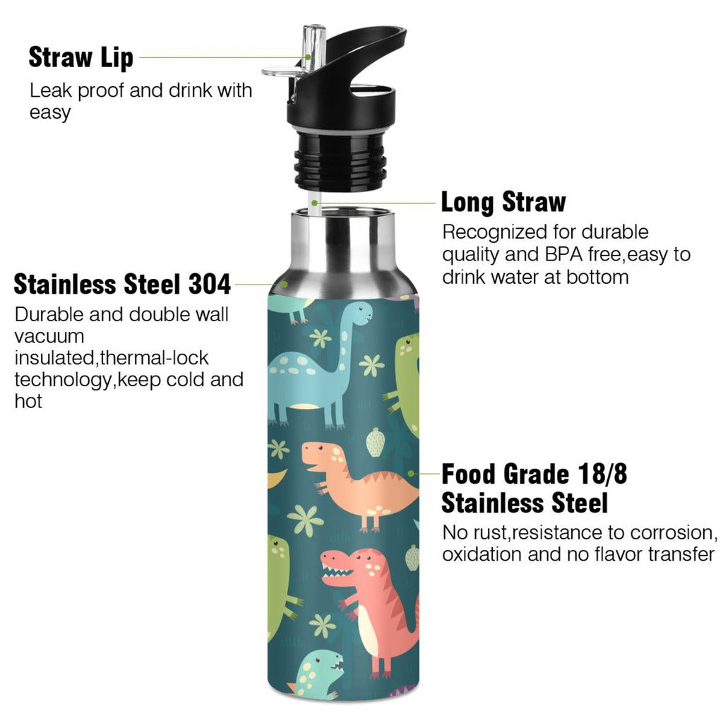 20 OZ Stainless Steel Vacuum Insulated Water Bottle with Straw Lid R4707
