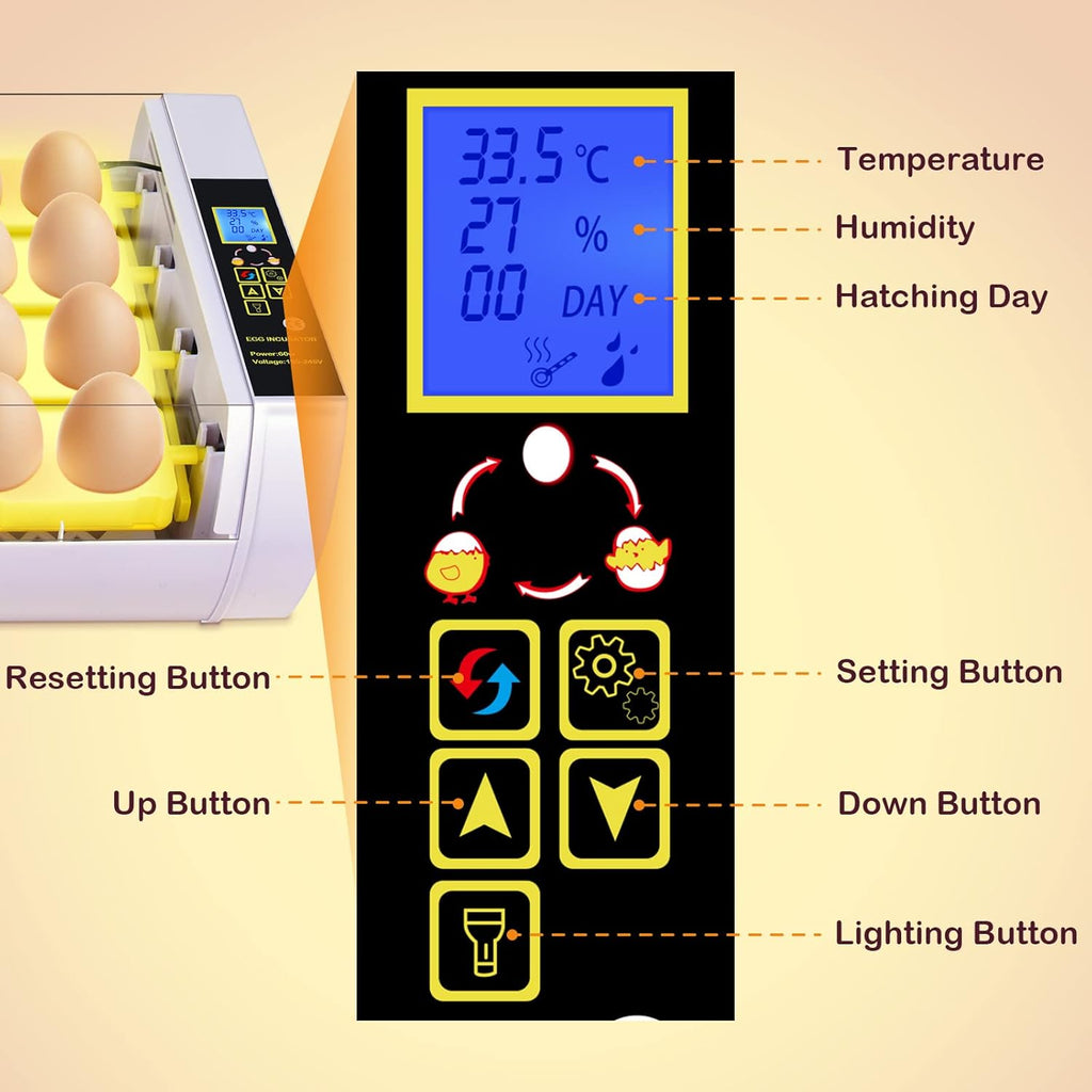 24 Eggs Incubator with Automatic Turning Temperature and Humidity Control Pack of 2 G147540