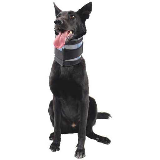 Cervical Collar D3672