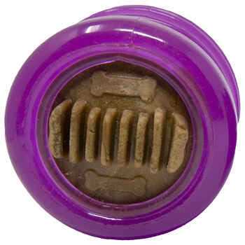 Treat Ball B100600