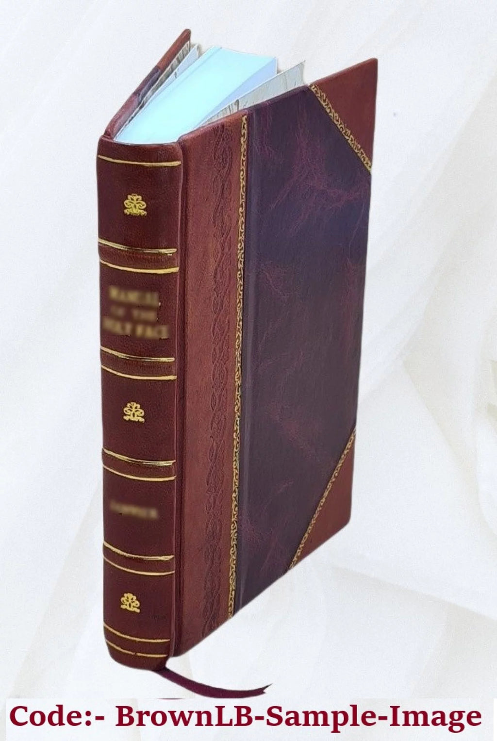 Vita Christi Cartuxano Leather Bound F2254