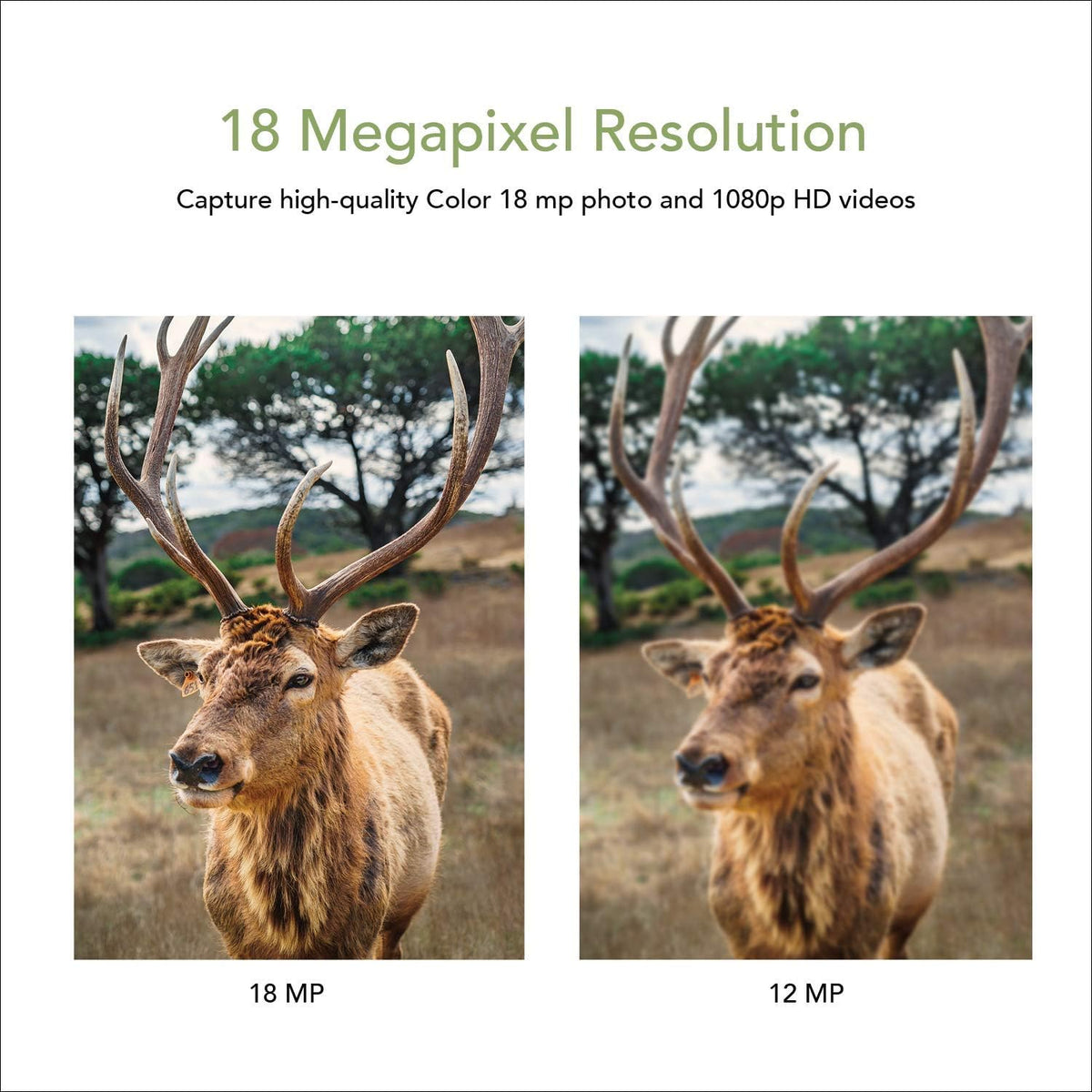 18MP 1080P Trail Camera with 2” LCD White LED Flash N697235