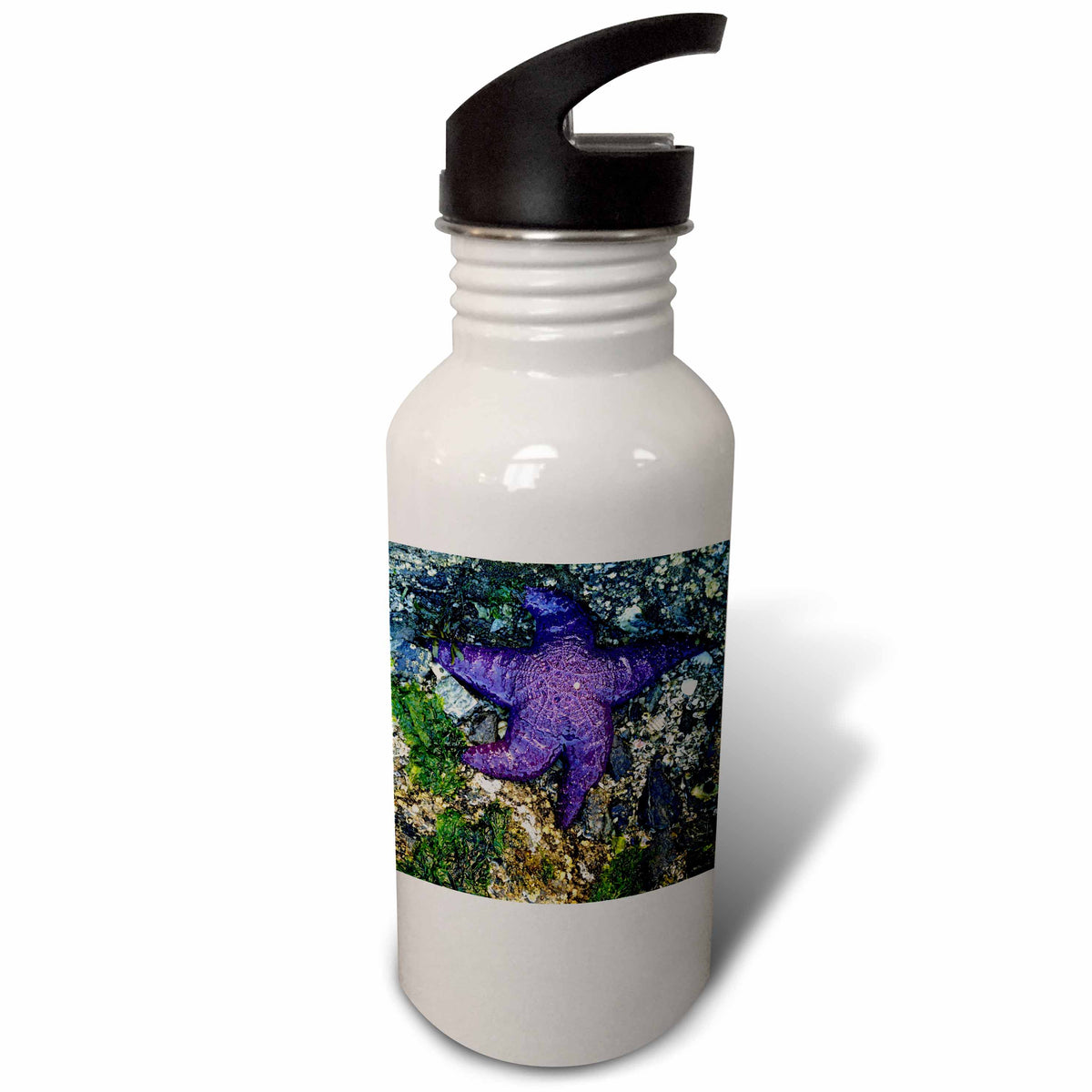 Purple Star Starfish 21 oz Sports Water Bottle S504