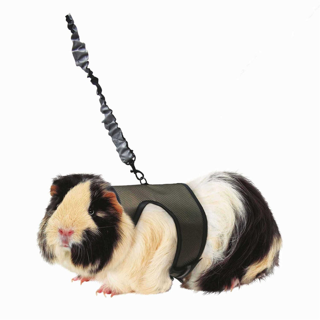 Pet Supplies H236103