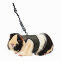 Pet Supplies H236103