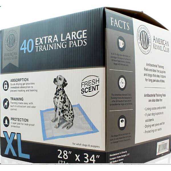 Training Pads L110271