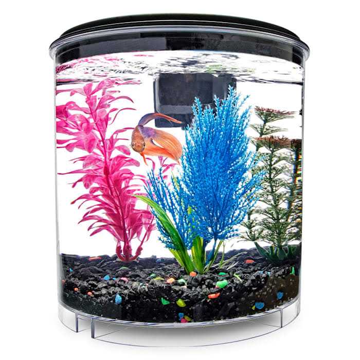2 Gallon Tank A967