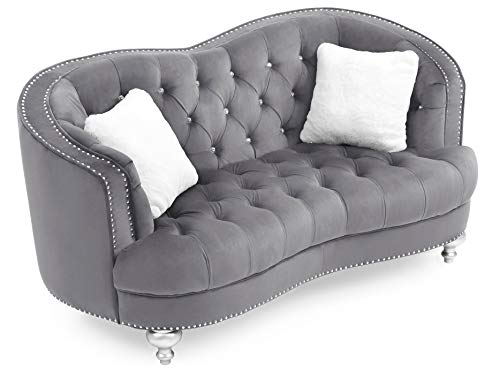 Gray Velvet Loveseat N9657