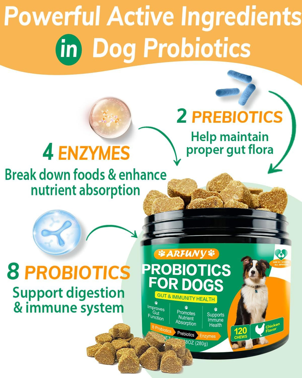 Chicken Flavor Probiotics Chews for Dogs with Prebiotic & Digestive Enzymes (120 Chews) N65556