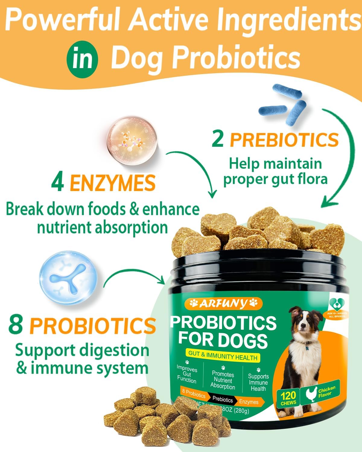 Chicken Flavor Probiotics Chews for Dogs with Prebiotic & Digestive Enzymes (120 Chews) N65556