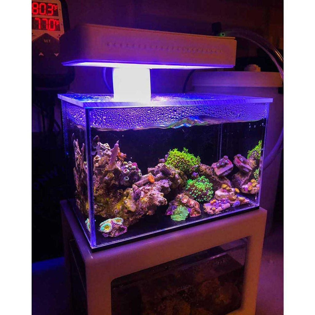 40oz Desktop Aquarium X57586
