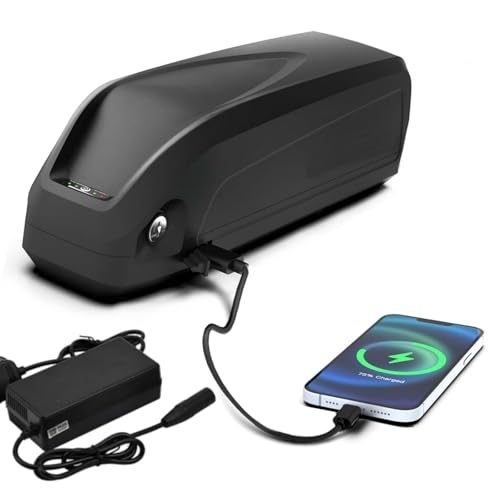 48V 36V Lithium ion Rechargeable Battery with Charger and USB Port U938